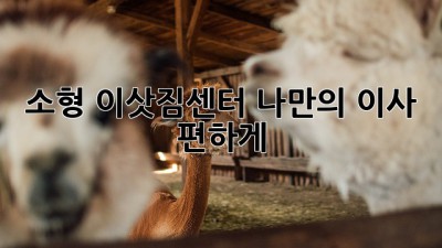 소형 이삿짐센터: 나만의 이사, 편하게!