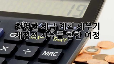 현명한 세금 계획 세우기: 재정적 자유를 향한 여정